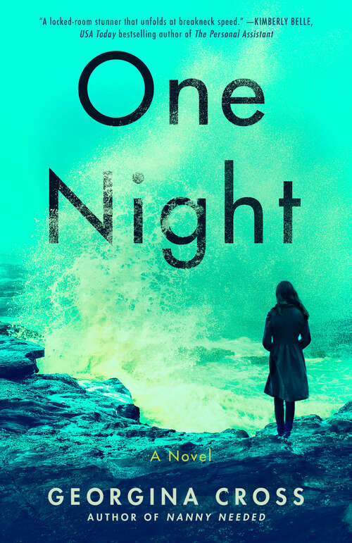 Book cover of One Night: A Novel