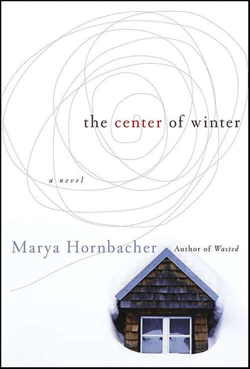 Book cover of The Center of Winter