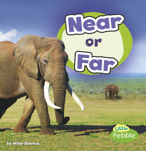 Book cover of Near or Far (Location Words Ser.)