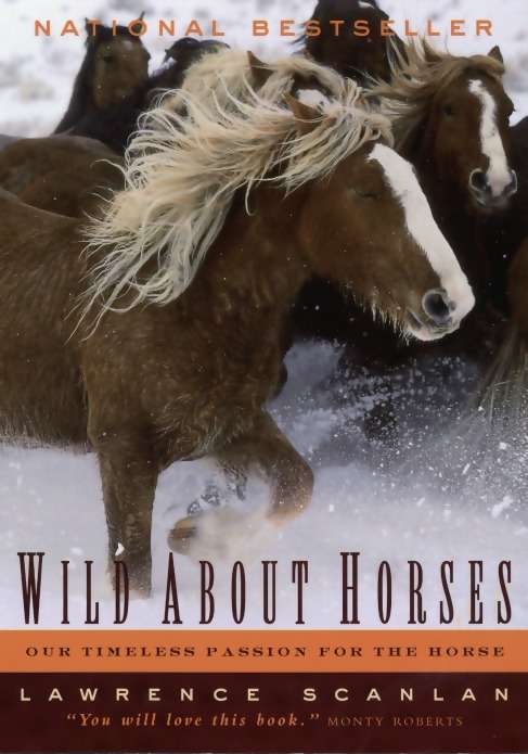 Book cover of Wild About Horses