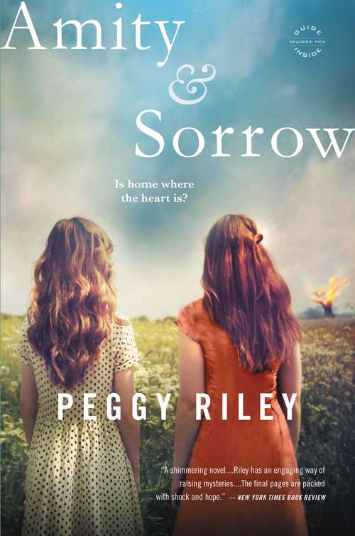 Book cover of Amity & Sorrow