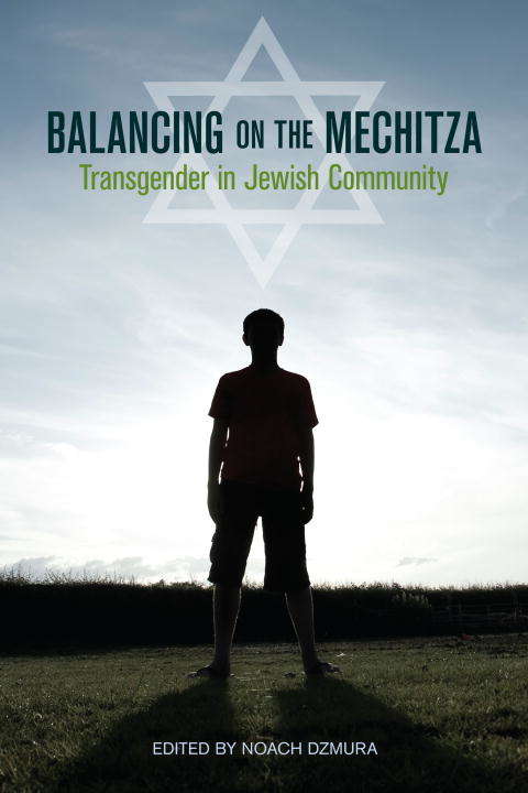 Book cover of Balancing on the Mechitza