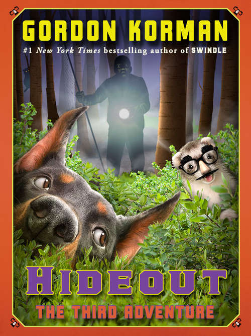 Book cover of Hideout: The Third Adventure (Limited Time Offer, Thru 12/31/12)