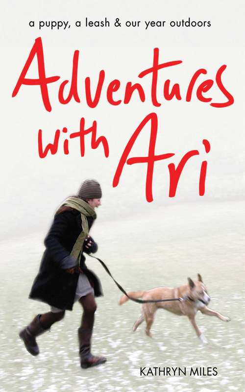 Book cover of Adventures with Ari