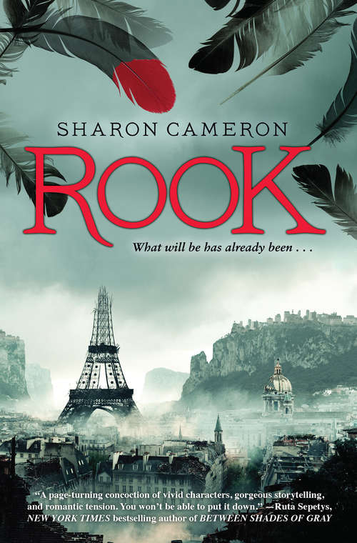 Book cover of Rook (Scholastic Press Novels)