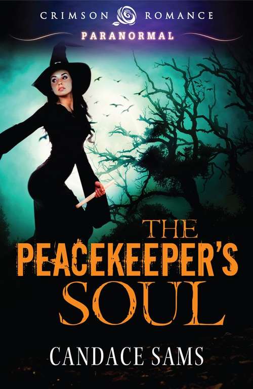Book cover of The Peacekeeper's Soul