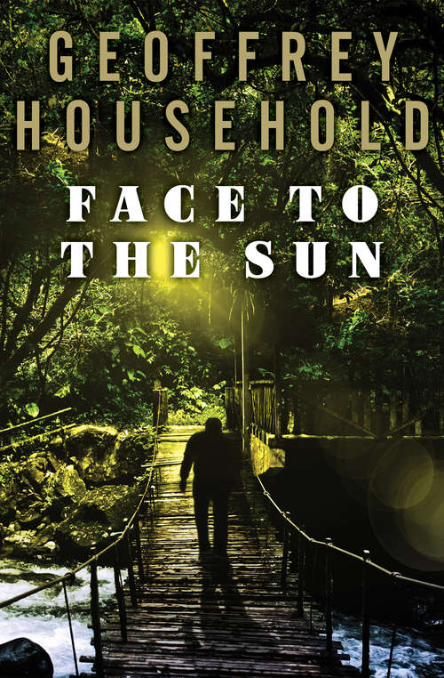 Book cover of Face to the Sun