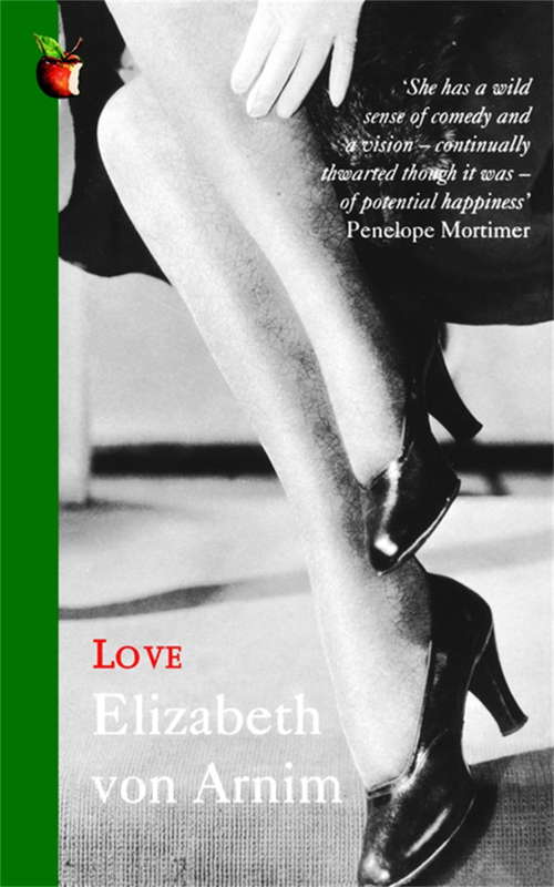 Love: A Virago Modern Classic (Virago Modern Classics #395)