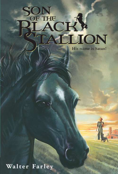 Book cover of Son of the Black Stallion