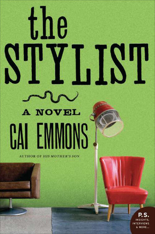 Book cover of The Stylist