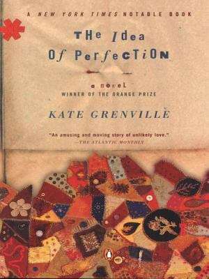Book cover of The Idea of Perfection