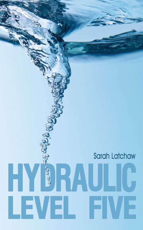Book cover of Hydraulic Level 5