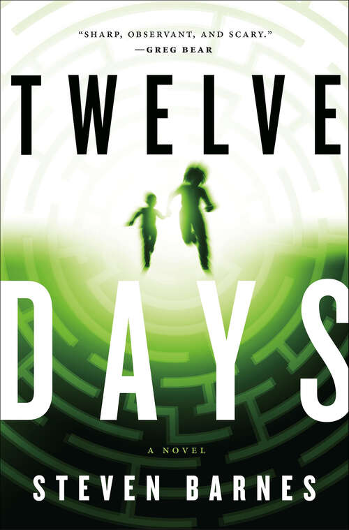 Book cover of Twelve Days: A Novel