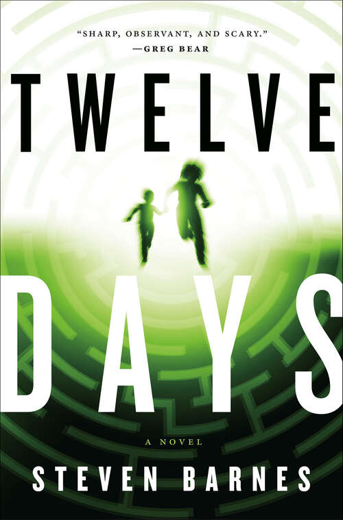 Book cover of Twelve Days: A Novel