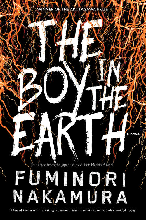 Book cover of The Boy in the Earth