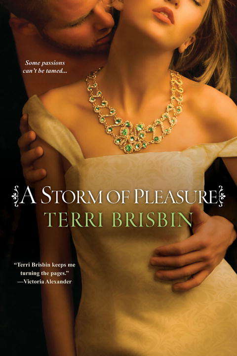 Book cover of A Storm of Pleasure