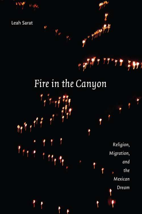 Book cover of Fire in the Canyon