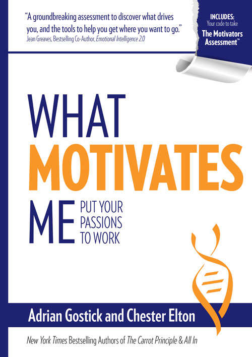 Book cover of What Motivates Me