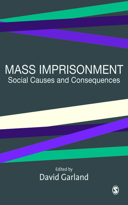 Book cover of Mass Imprisonment: Social Causes and Consequences