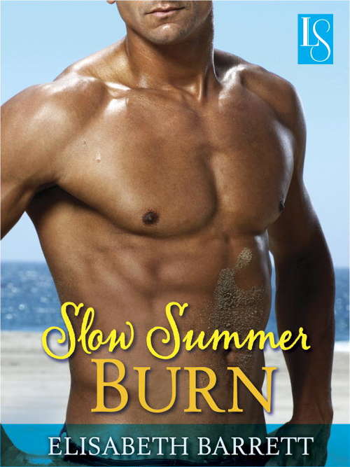 Book cover of Slow Summer Burn