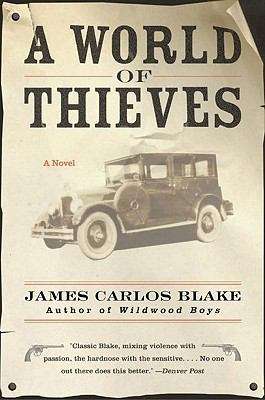 Book cover of A World of Thieves