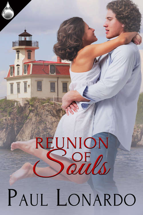 Book cover of Reunion of Souls