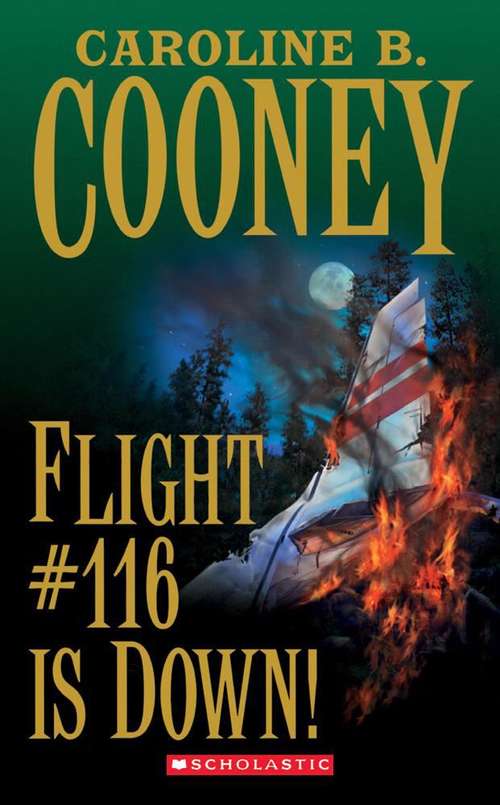 Book cover of Flight 116 Is Down