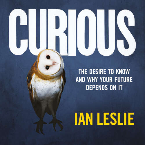 Book cover of Curious: The Desire to Know and Why Your Future Depends on It