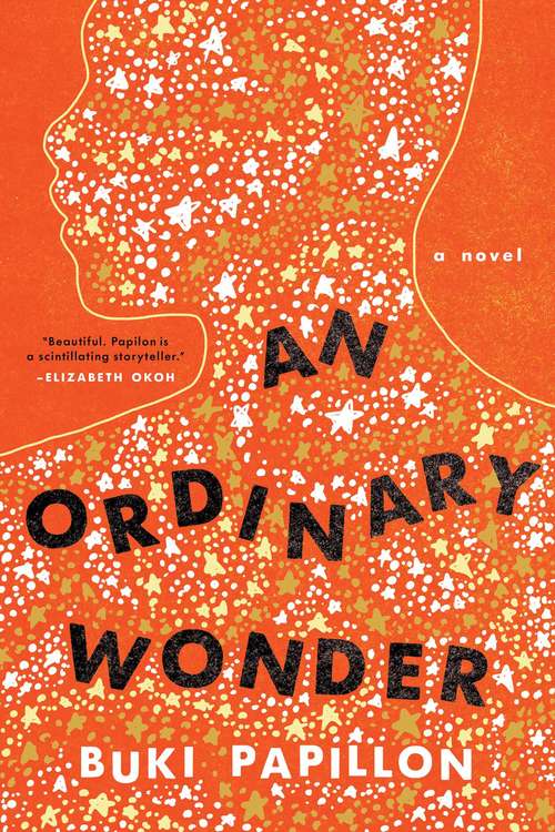 Book cover of An Ordinary Wonder: A Novel