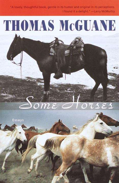 Book cover of Some Horses: Essays
