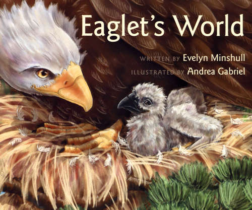 Book cover of Eaglet's World