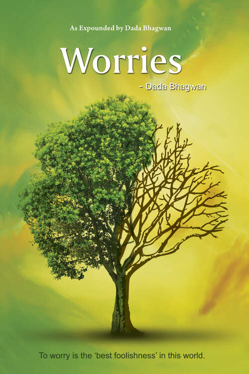 Book cover of Worries