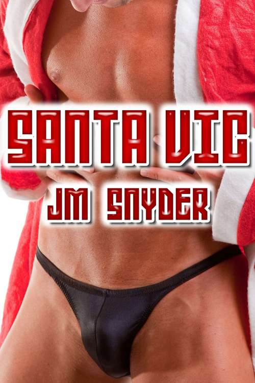 Book cover of Santa Vic (Vic and Matt #15)