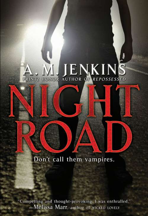 Book cover of Night Road