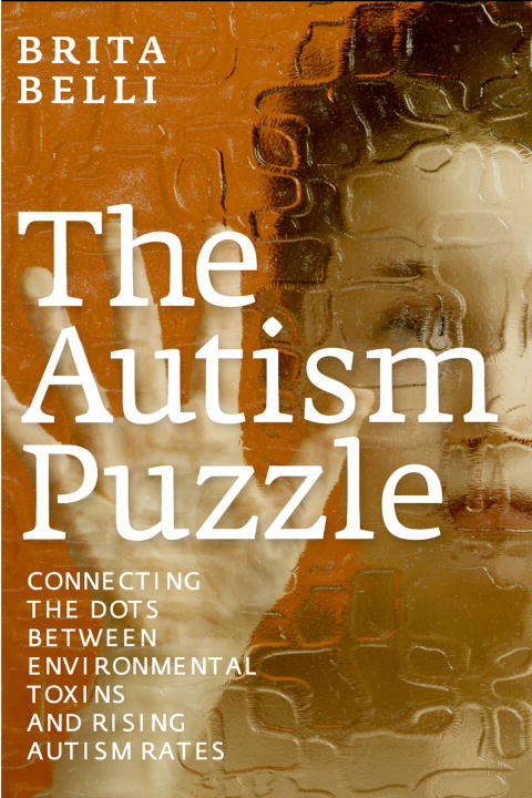 Book cover of The Autism Puzzle