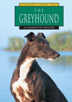 Book cover of The Greyhound (Learning About Dogs)
