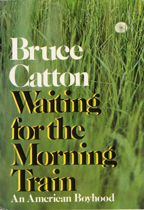 Book cover of Waiting for the Morning Train: An American Boyhood