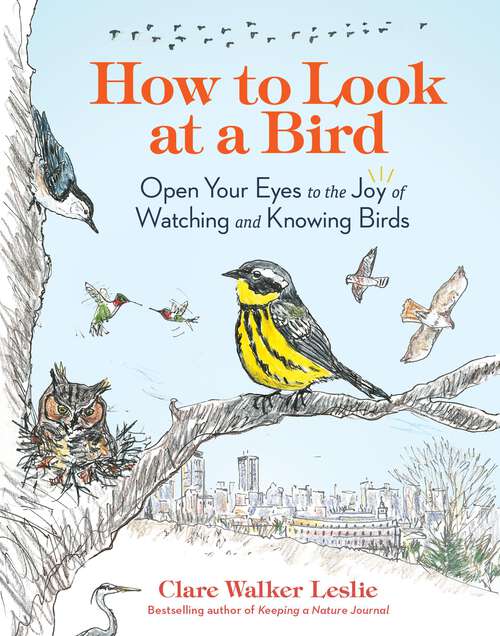 Book cover of How to Look at a Bird: Open Your Eyes to the Joy of Watching and Knowing Birds