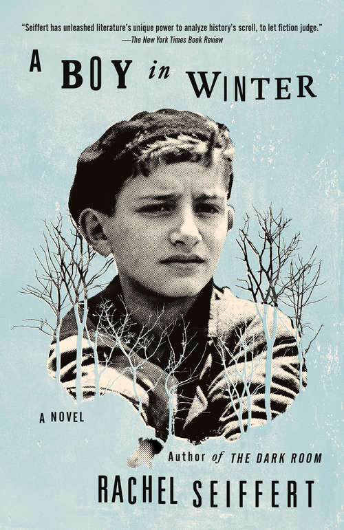 Book cover of A Boy in Winter: A Novel