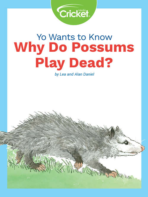 Yo Wants to Know: Why Do Possums Play Dead?