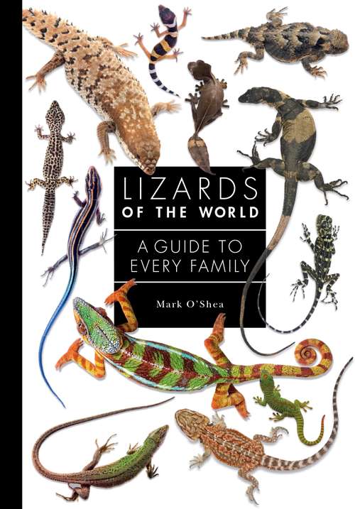 Book cover of Lizards of the World: A Guide to Every Family