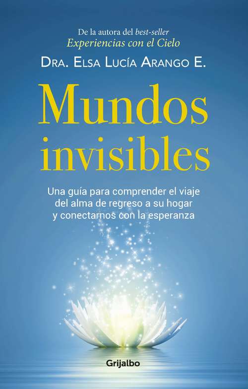 Book cover of Mundos invisibles