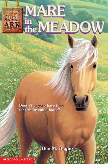 Book cover of Mare in the Meadow (Animal Ark #31)