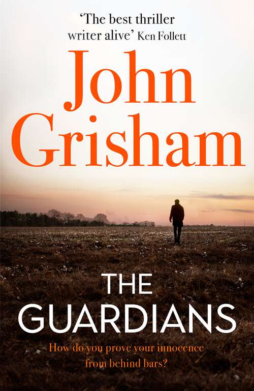 Book cover of The Guardians: The Sunday Times Bestseller