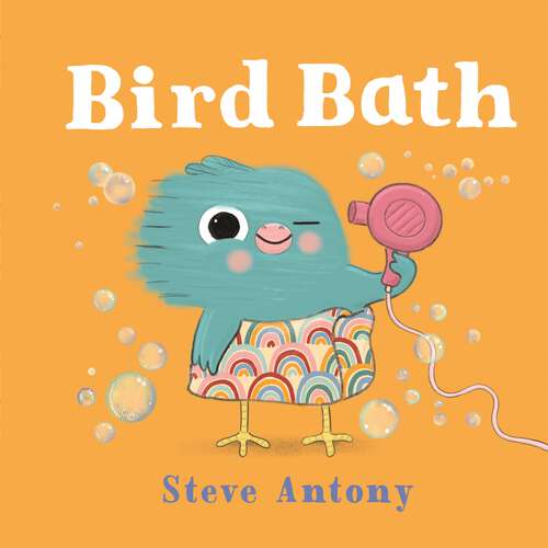 Book cover of Bird Bath