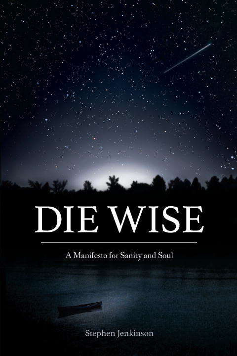 Book cover of Die Wise
