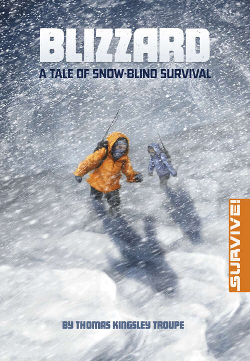 Book cover of Blizzard (Survive! Ser.)