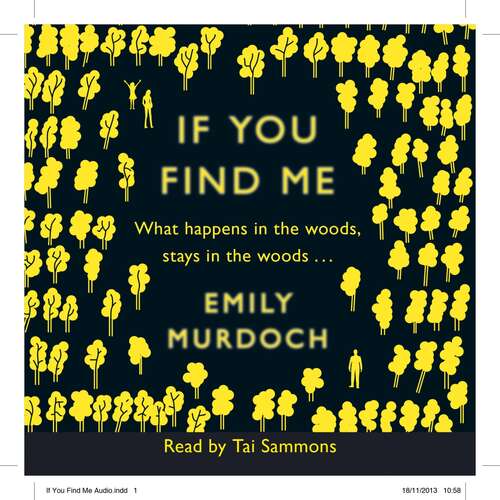 Book cover of If You Find Me