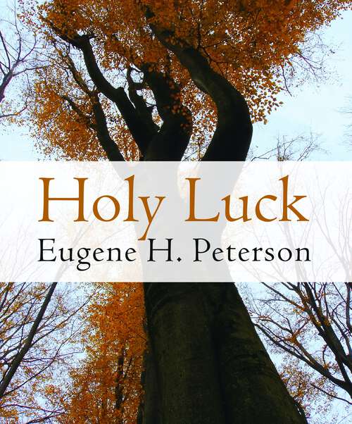 Book cover of Holy Luck