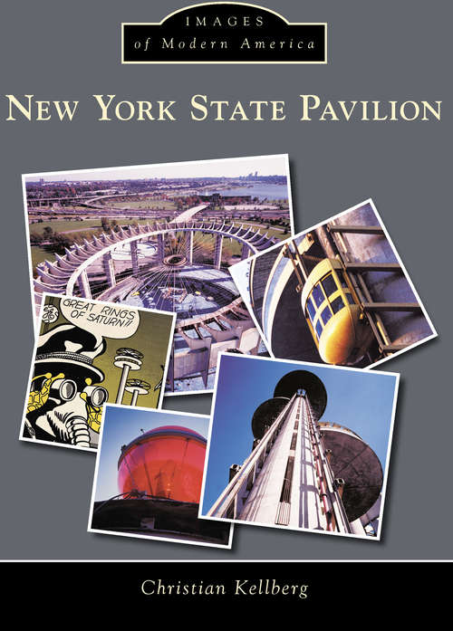 Book cover of New York State Pavilion